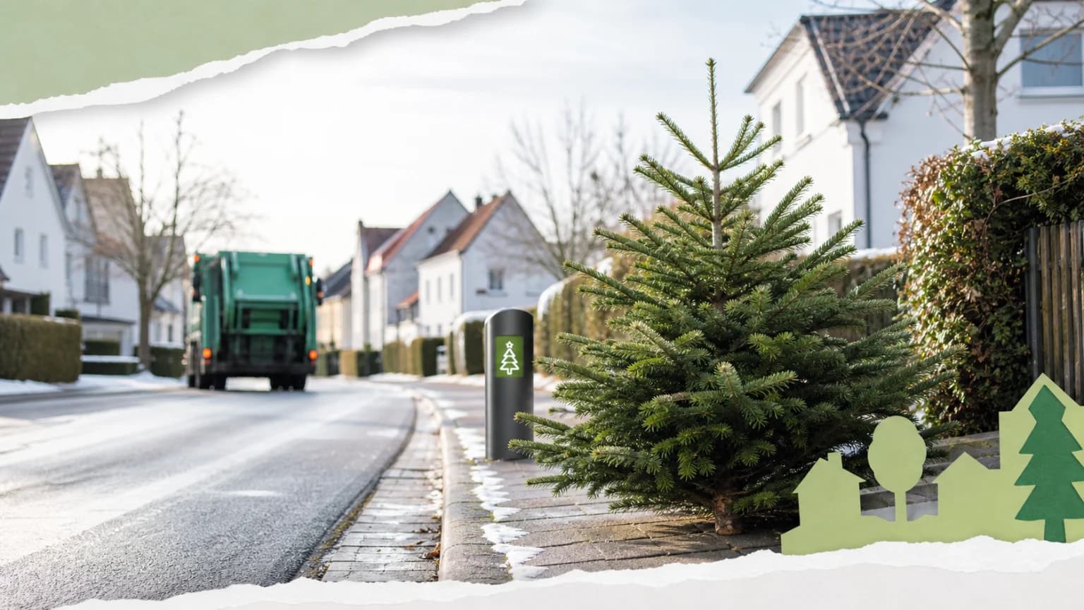 Riesiger Weihnachtsbaum erstrahlt in Finsterwalde
