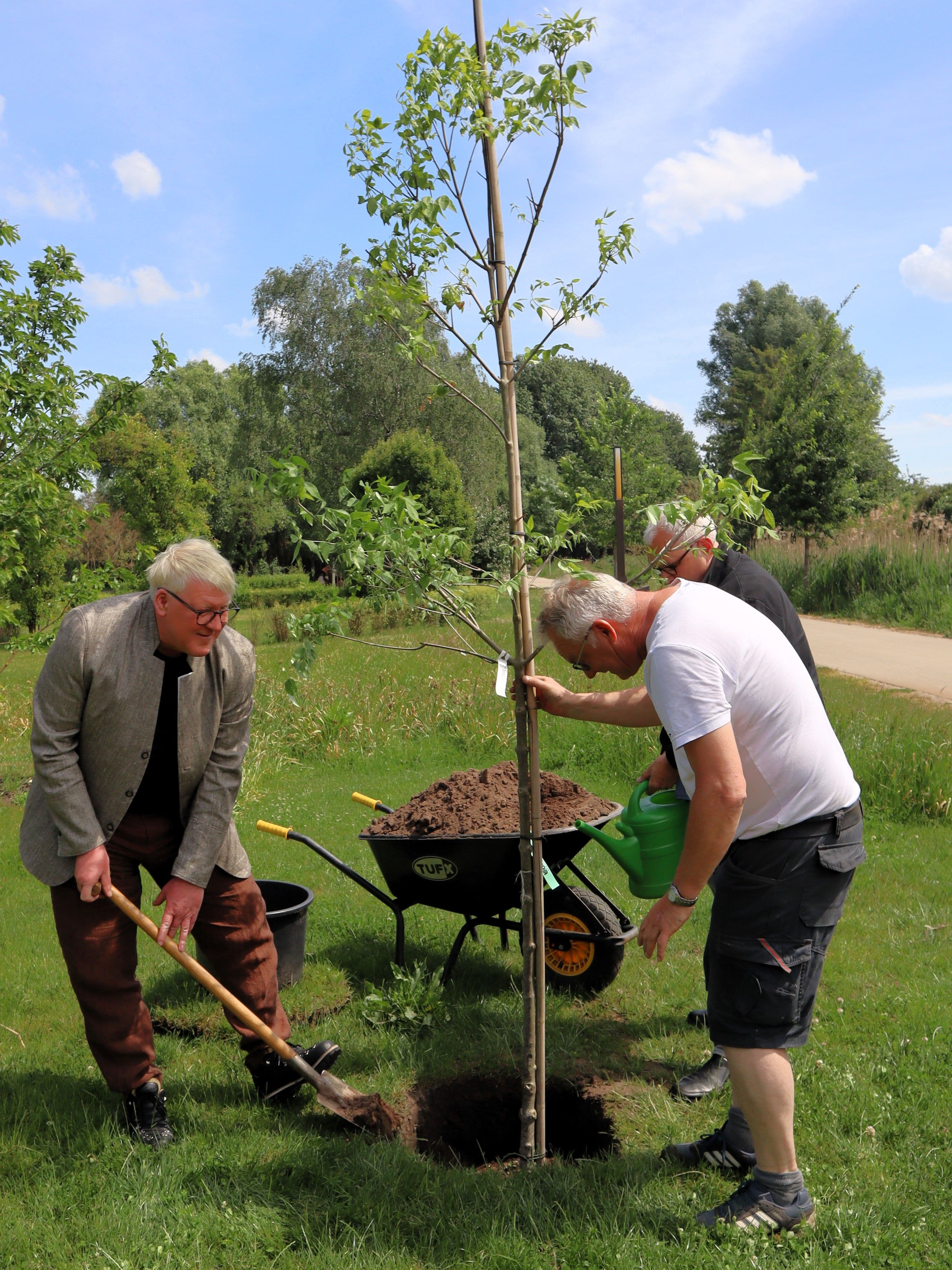 Der Bienenbaum im Beelitzer Stadtpark