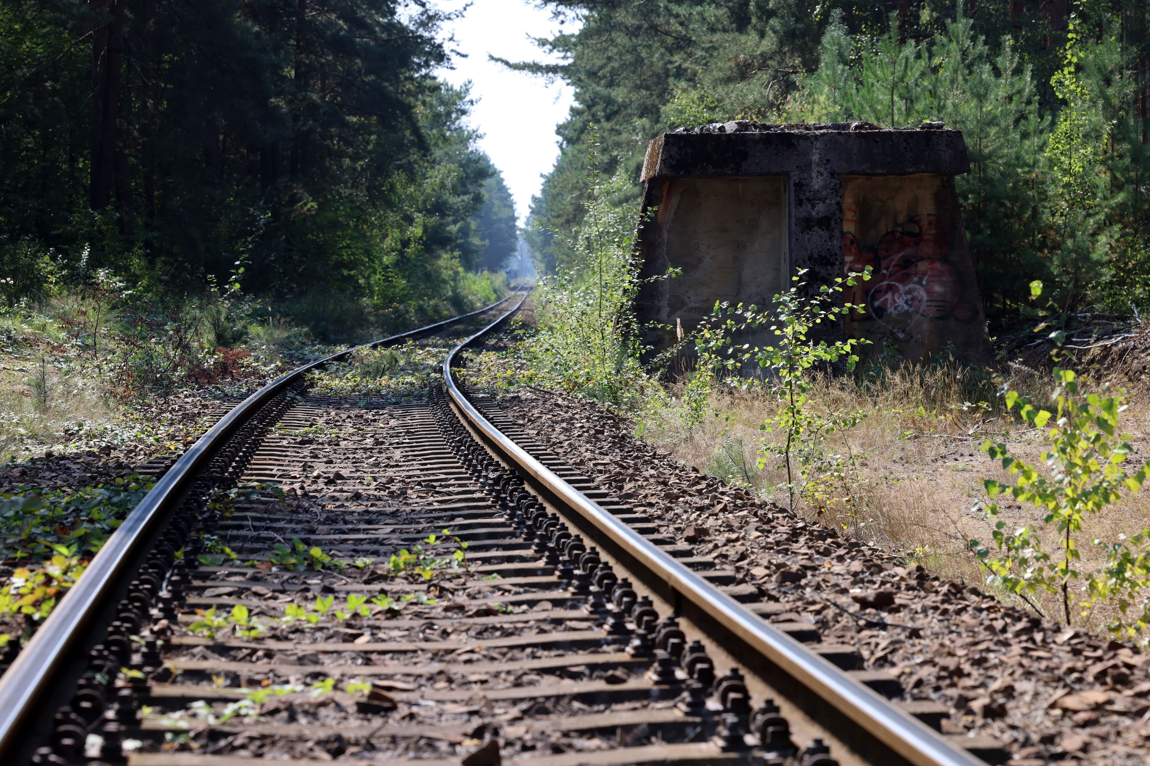 Gedenken an Auschwitz: Zeitzeuge berichtet in Senftenberg