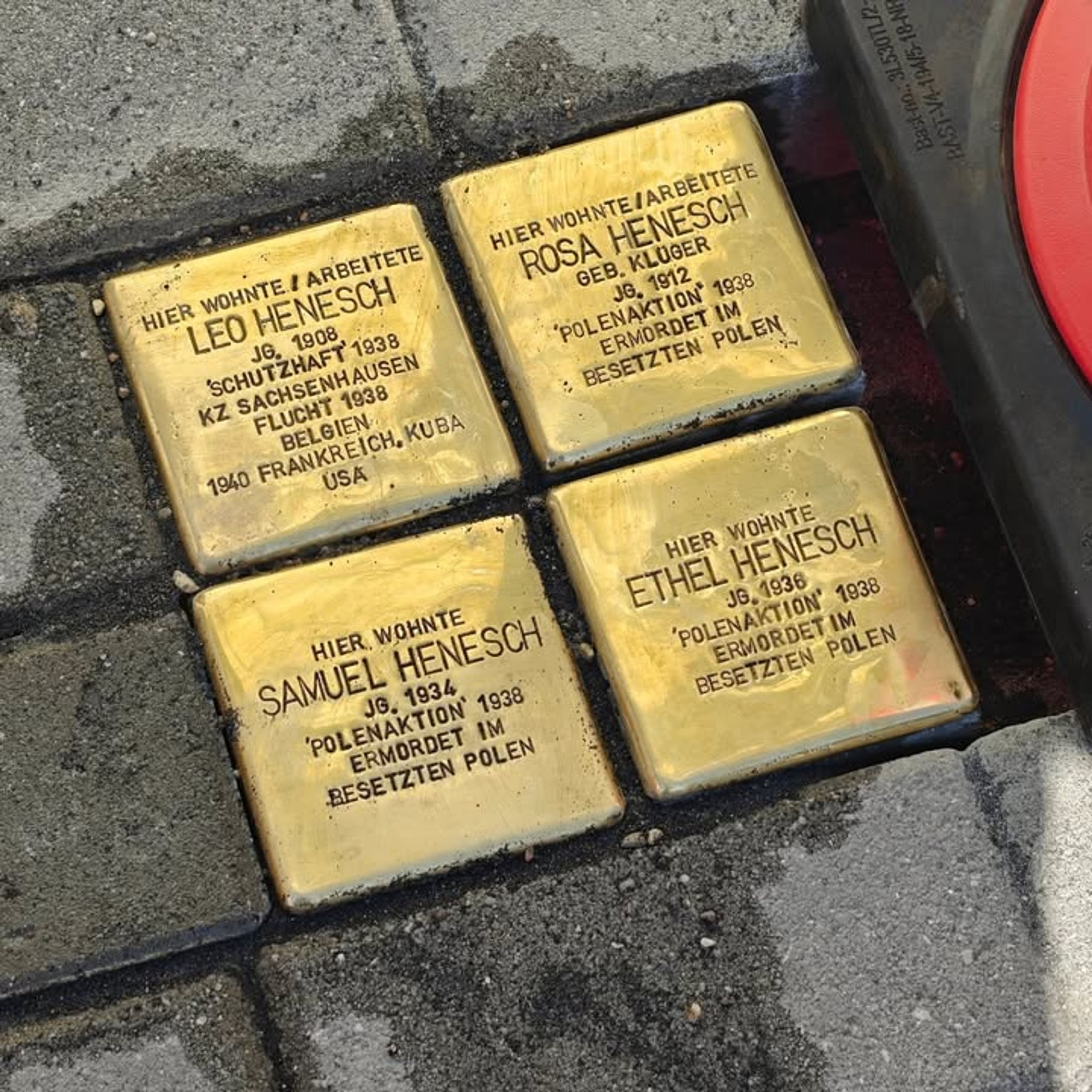 Neue Stolpersteine in Finsterwalde erinnern an NS-Opfer