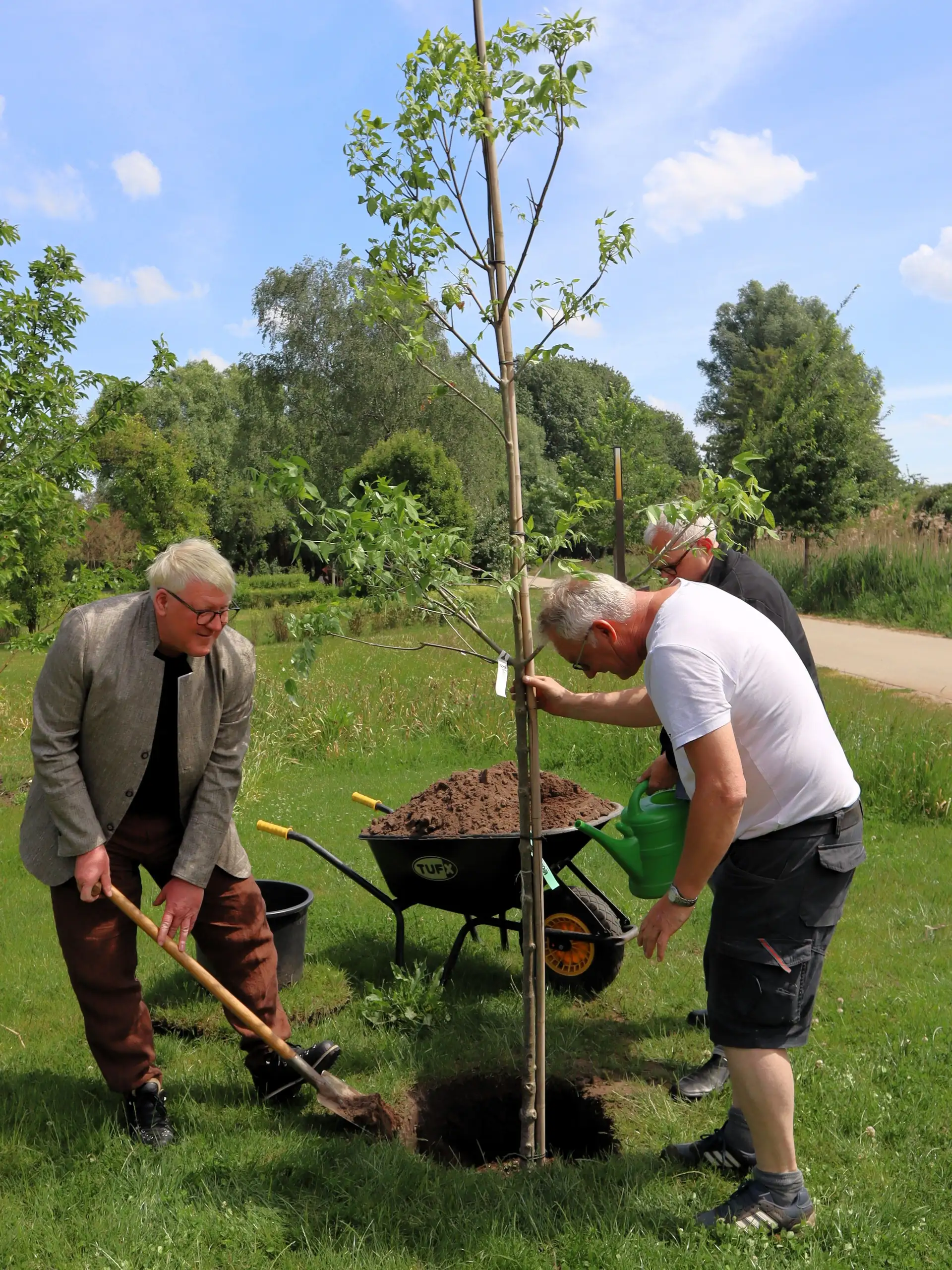 Der Bienenbaum im Beelitzer Stadtpark