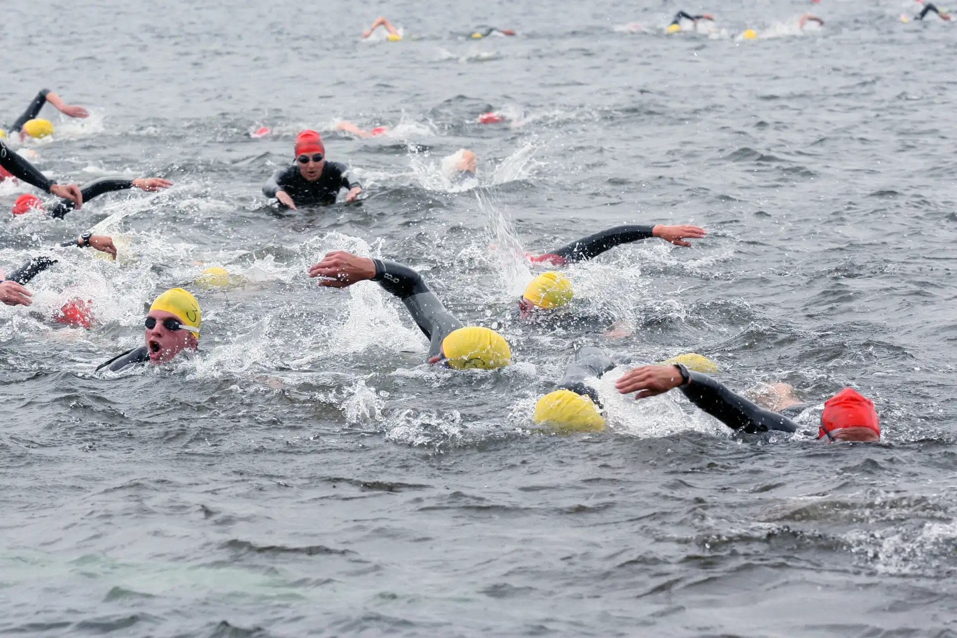 Senftenberger See; Strandbereich Niemtsch; Multisport Lausitz-Cup; Triathlon: offene Deutsch-Polnische Hochschulmeisterschaften, 1,5km Schwimmen