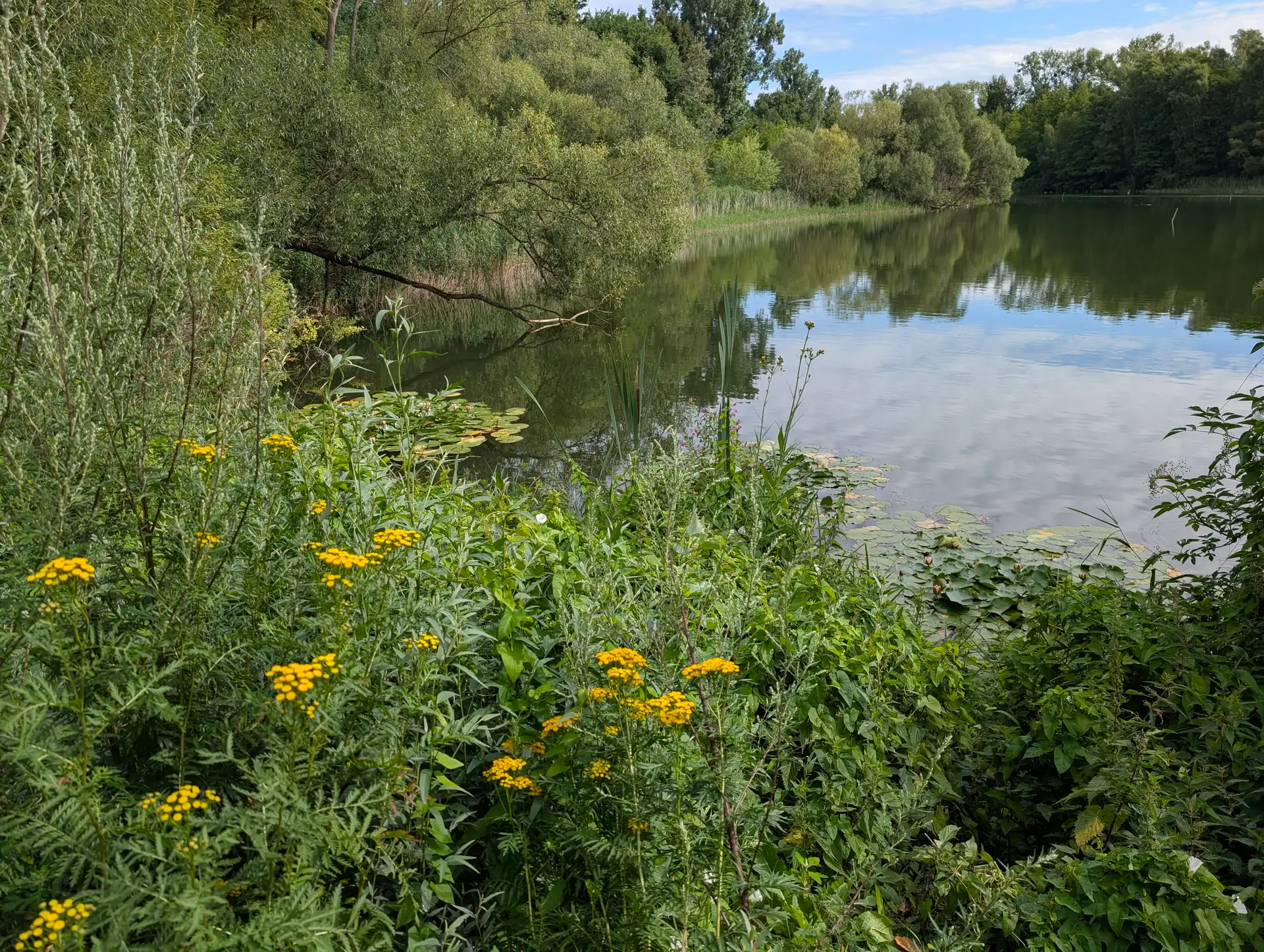 Naturparkfest Barnim erstmals mit Leitthema Wasser im Bernauer Panke-Park
