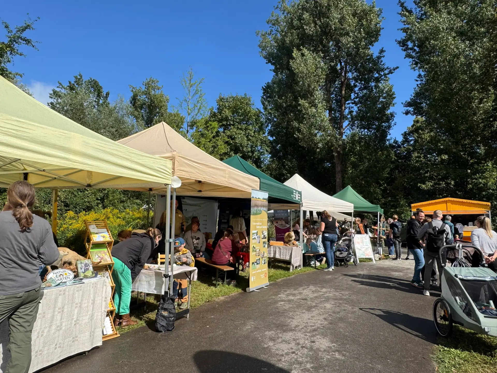 Besuchende beim Naturparkfest Barnim im Panke-Park.