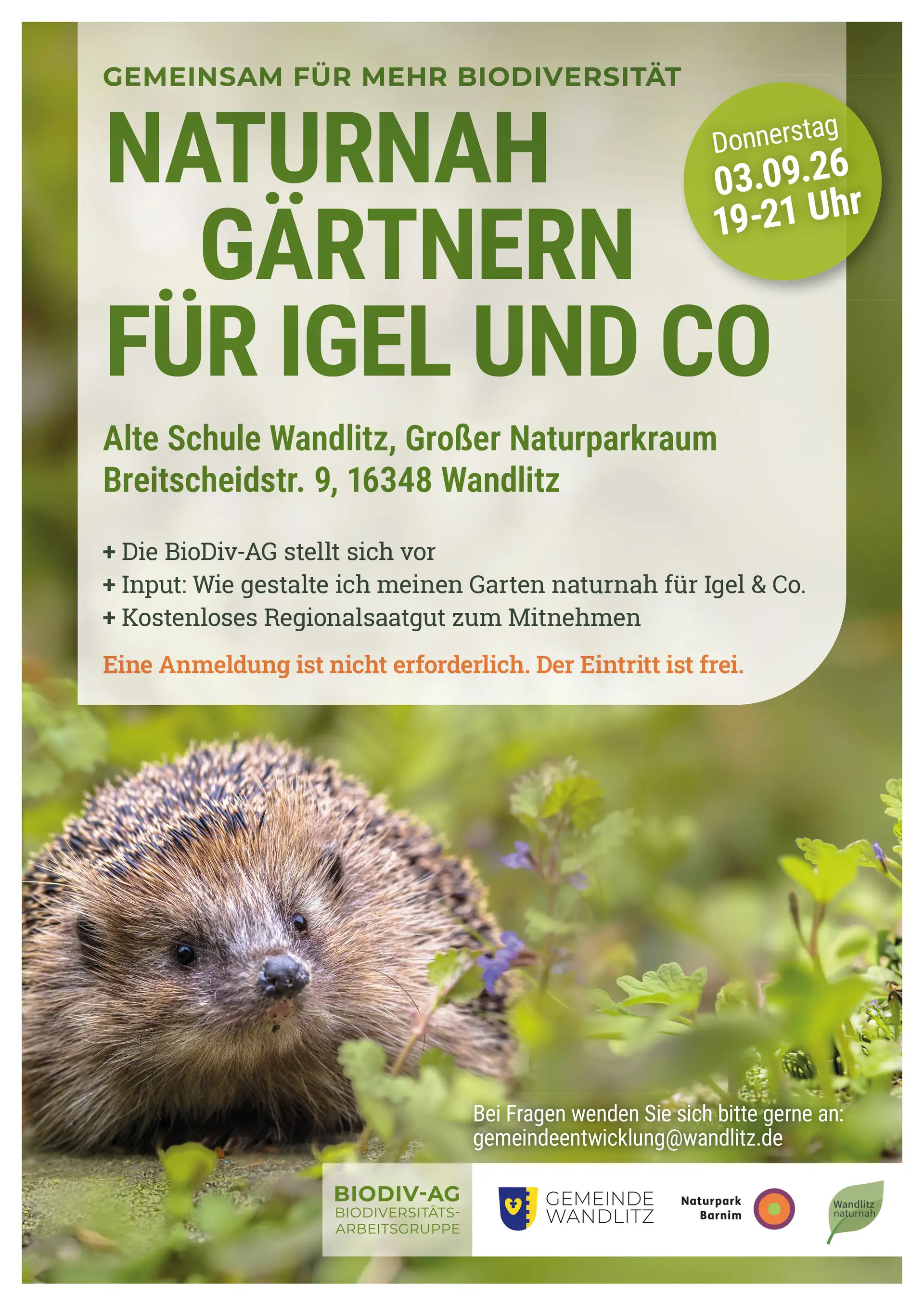 Plakat zur Veranstaltung „Naturnah gärtnern für Igel und Co“ in der Alten Schule Wandlitz am 3. September (19–21 Uhr).