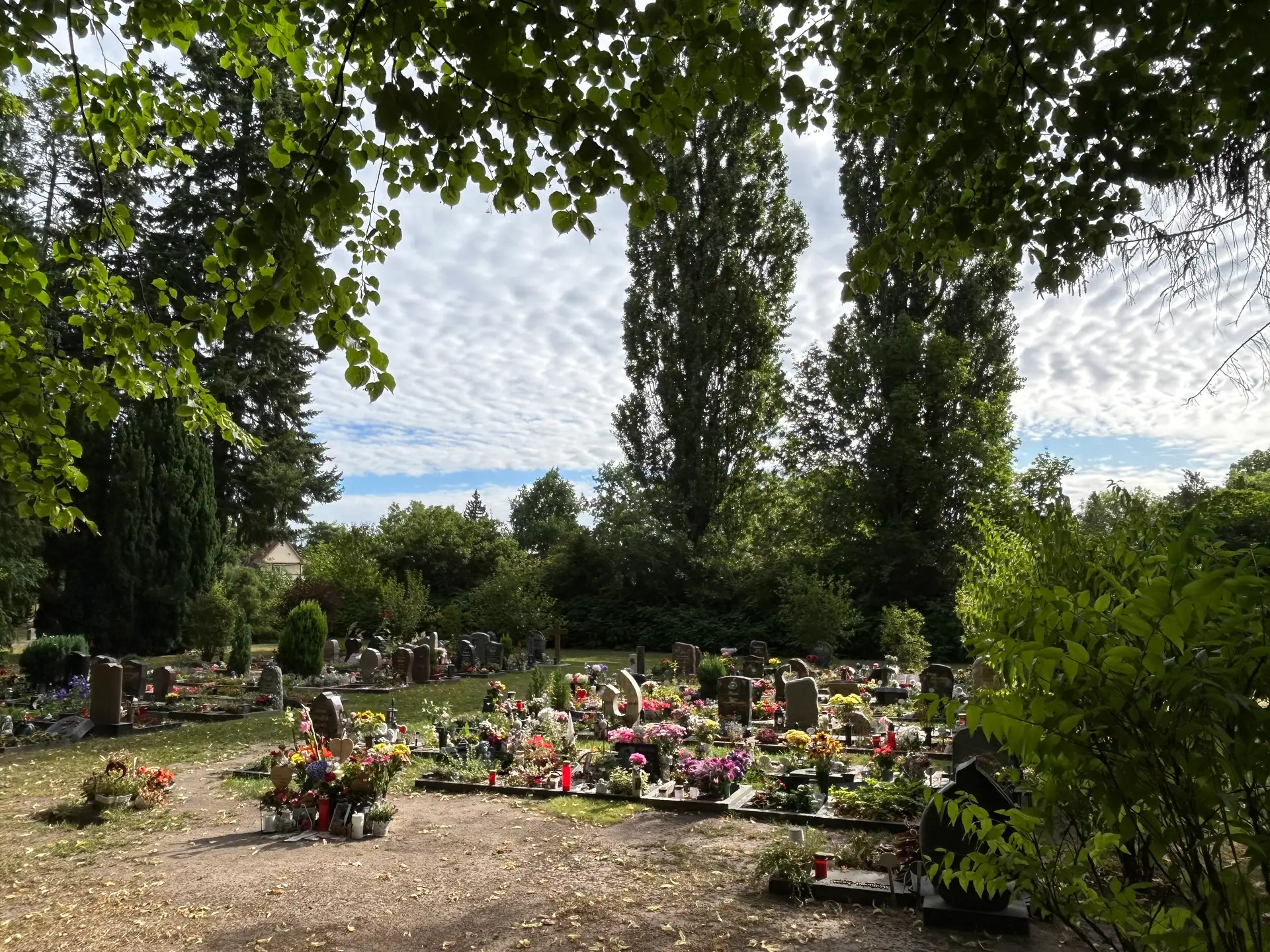 Kostenfreier Informationstag auf dem Neuen Friedhof Bernau