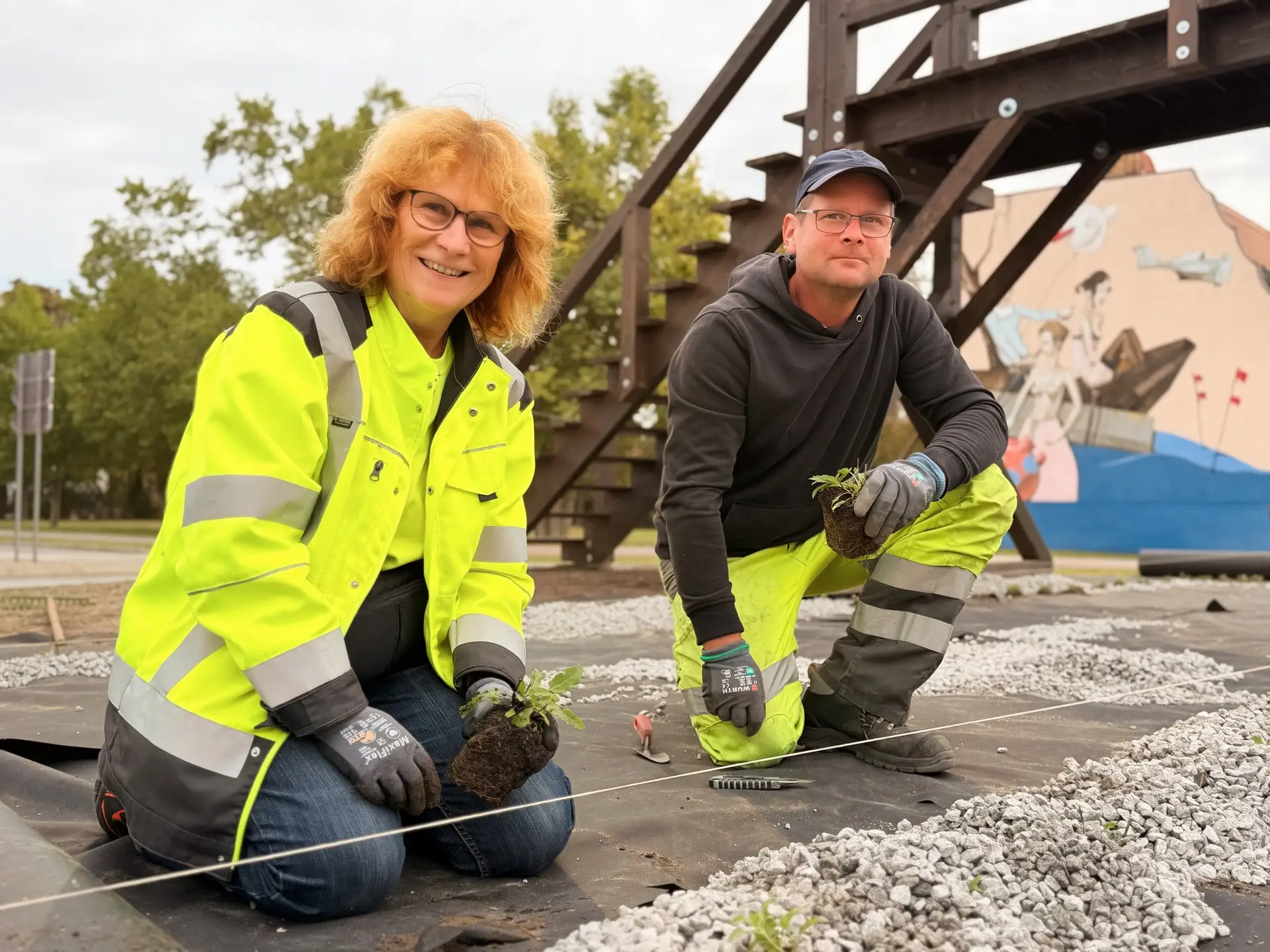 Bepflanzung am Kreisverkehr Lindenstraße in Lübben mit Gräsern und insektenfreundlichen Stauden.