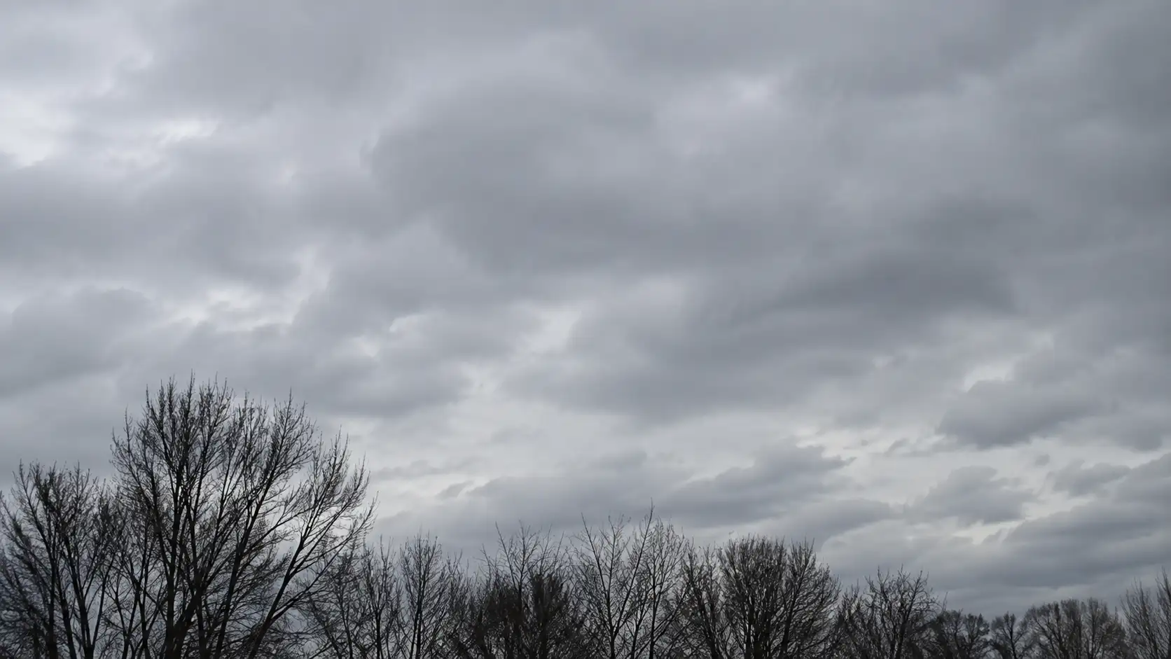 Dichte Wolkendecke über kahlen Baumkronen