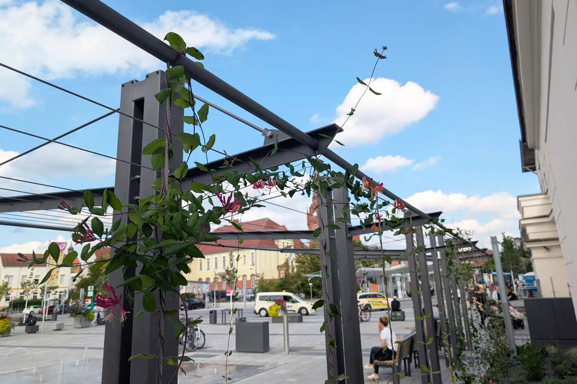 Foto zeigt eine begrünten Pergola am Bahnhofsvorplatz mit Sitzbänken darunter.